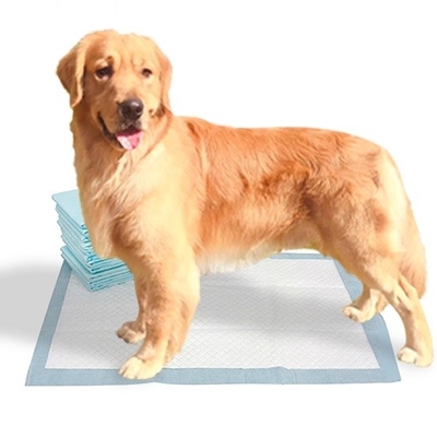 Le duvet de papier de soie de soie réduisent en pulpe les protections jetables d'animal familier de SAP pour des chiens