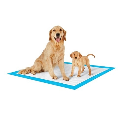 L'animal familier jetable extérieur d'intérieur mol de Nowoven capitonne le coton 100%