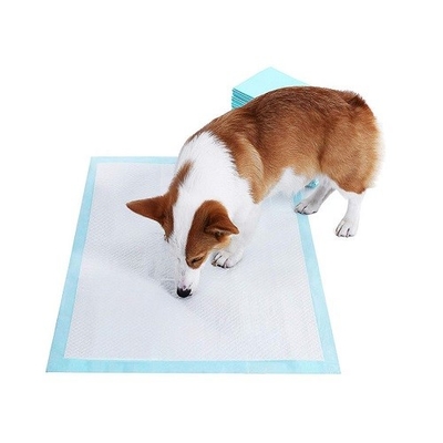 L'animal familier jetable extérieur d'intérieur mol de Nowoven capitonne le coton 100%