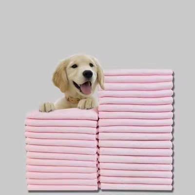 Protections jetables 60x90mm viables d'animal familier de Pee Training Disposable Pet Pads 60x60mm de chiot