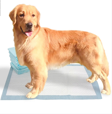 La formation en bambou d'extra large capitonne Pee Pads For Dogs jetable