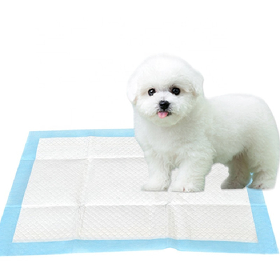 Protection d'intérieur absorbante jetable d'urine de chien de formation de chiot de protection d'urine d'animal familier